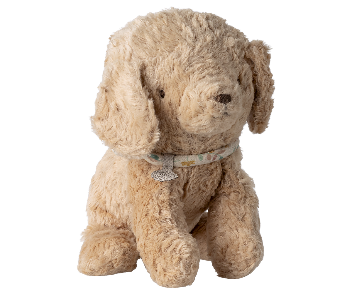 Cachorro pequeño, rosa empolvado