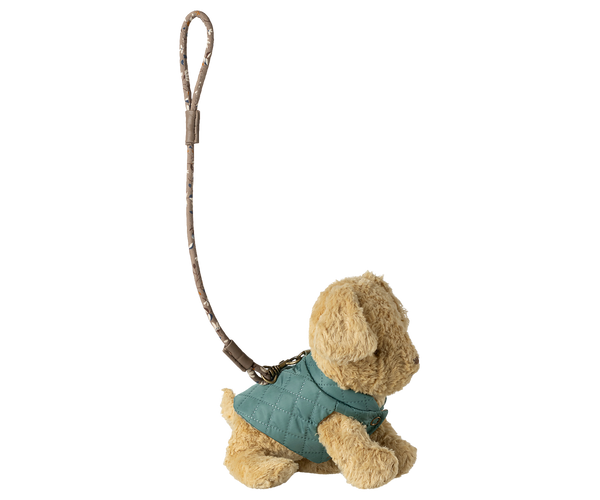 Arnés y correa para mascota - menta oscura