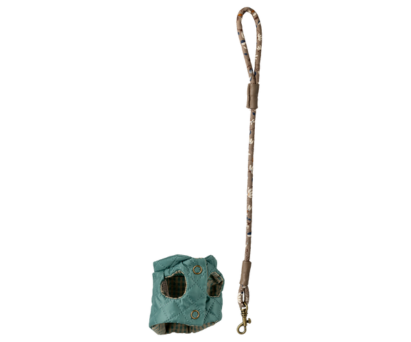 Arnés y correa para mascota - menta oscura